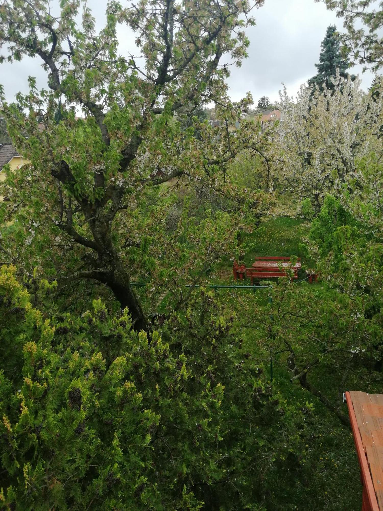 Valeria Vendeghaz Διαμέρισμα Budakalasz Εξωτερικό φωτογραφία